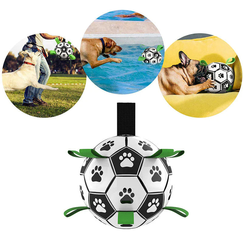 Kick Pet