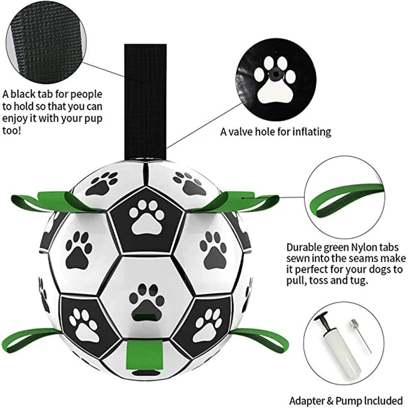Kick Pet
