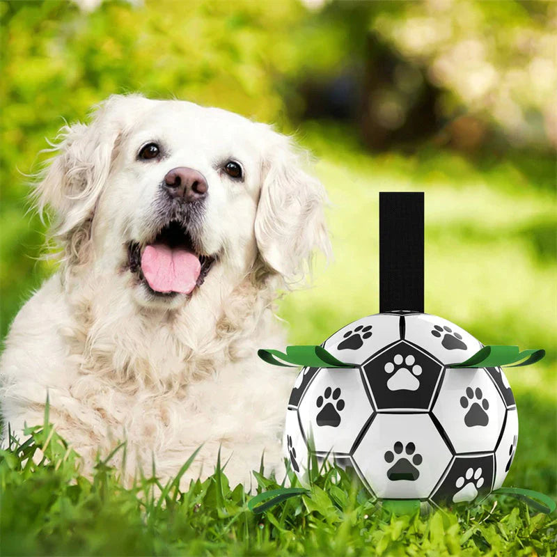Kick Pet