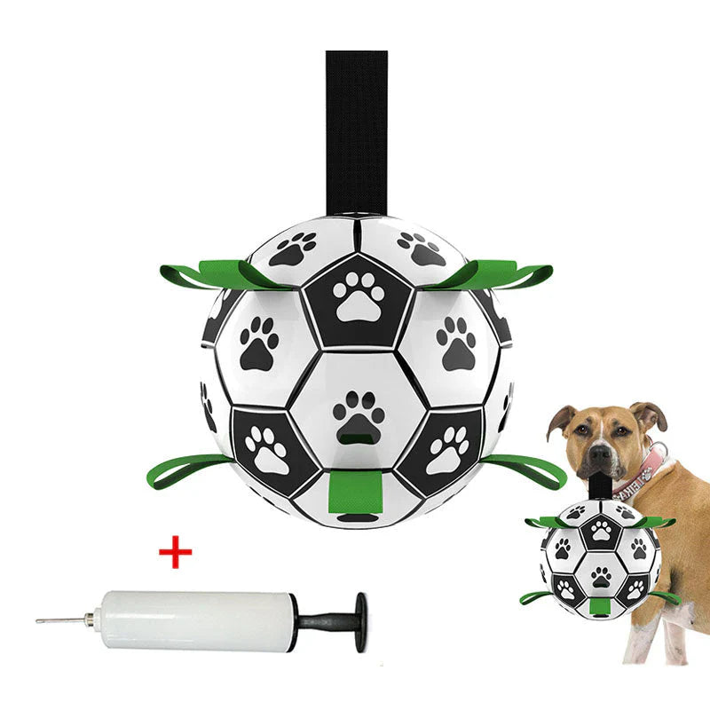 Kick Pet