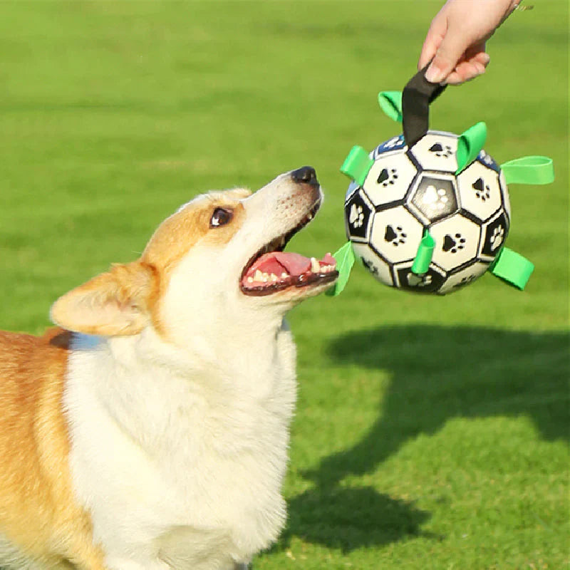 Kick Pet