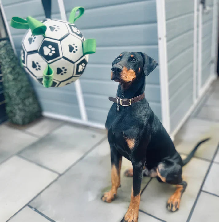 Kick Pet