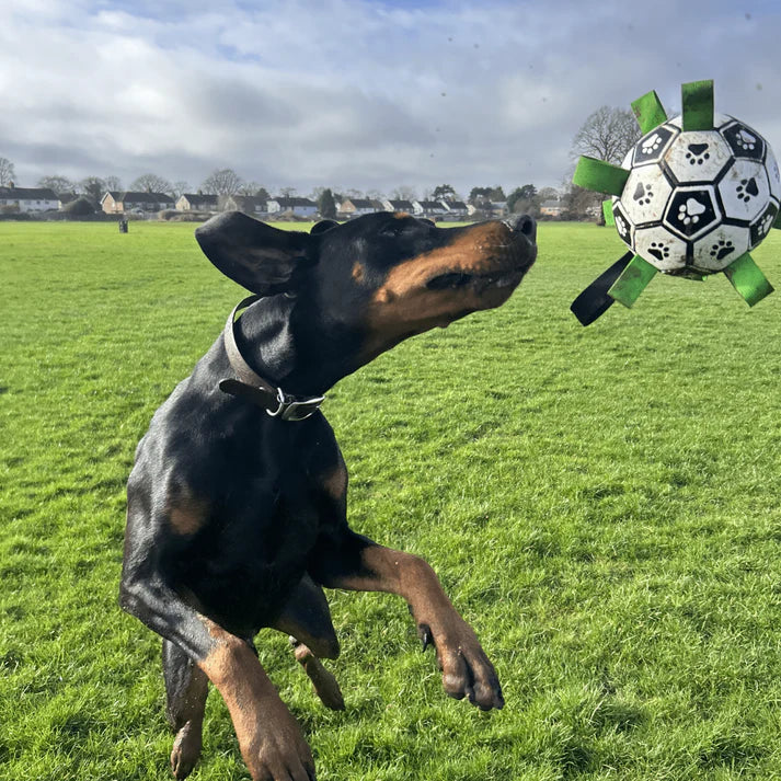 Kick Pet
