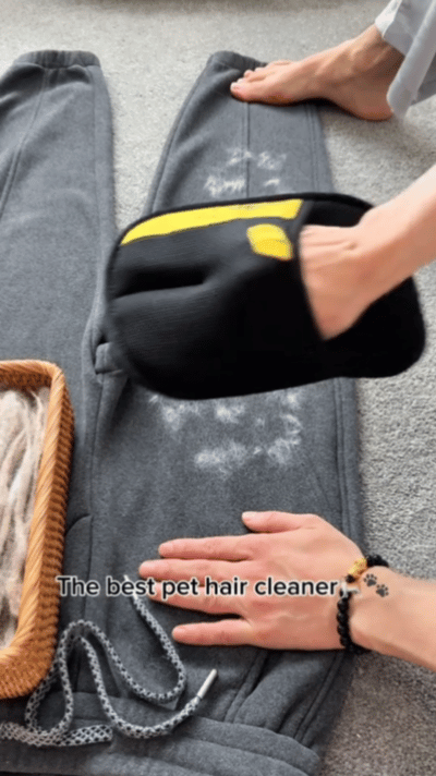Pet Hair Magic Gloves