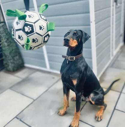Kick Pet
