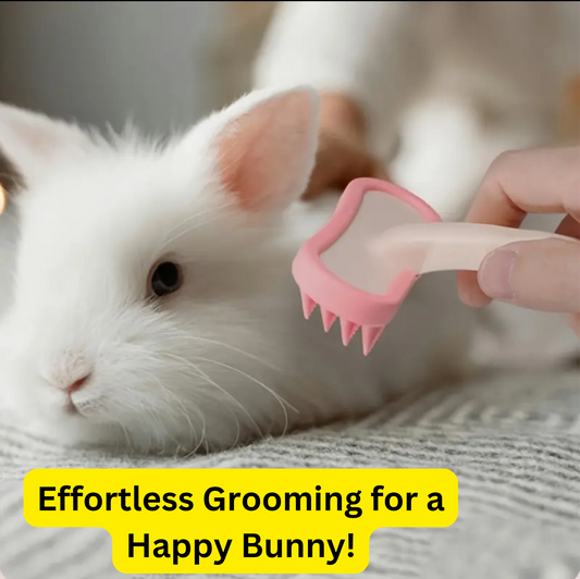 Complete Your Pet's Care – Add This Must-Have Grooming Brush!