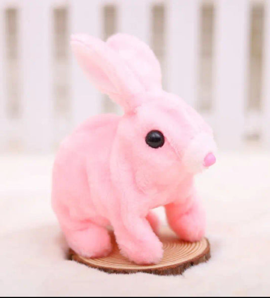 🔥One Time Offer : Rabbit Toy For Dog Puppy