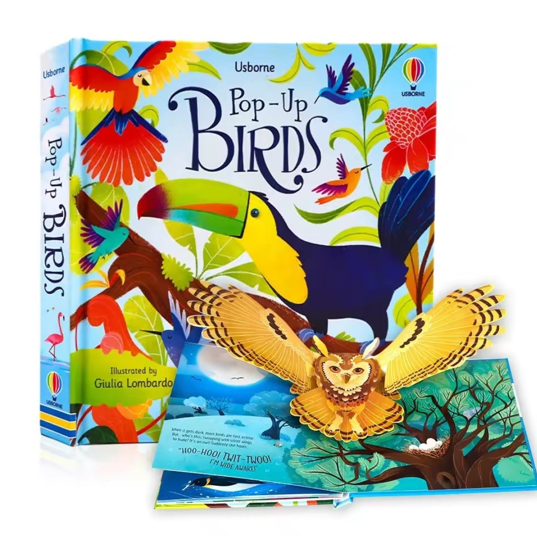 3D Dino Adventure Book